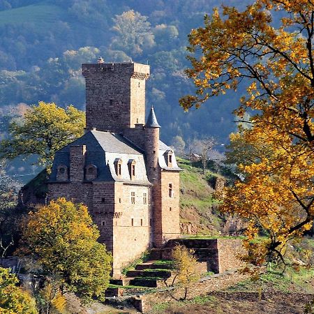 Chateau La Servayrie - Chambre D'Hotes Marcillac-Vallon エクステリア 写真