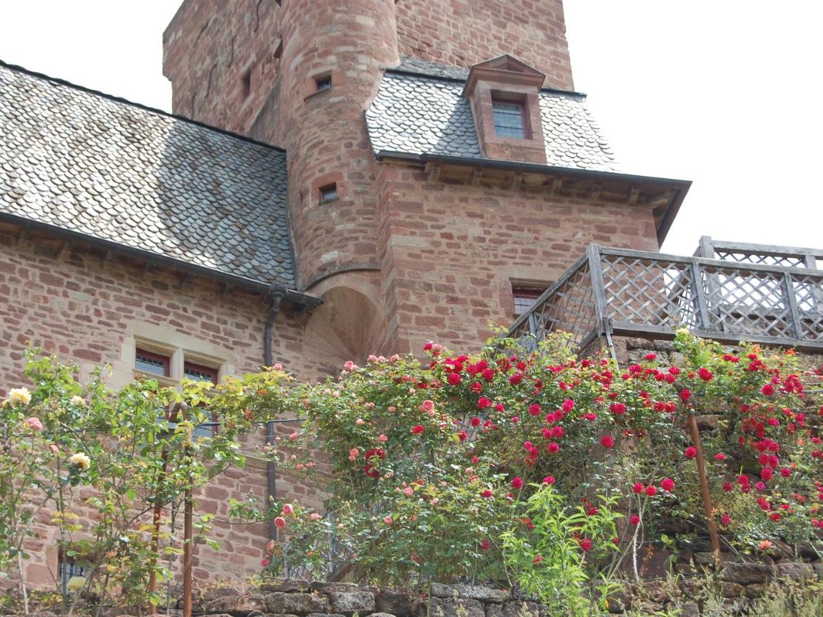Chateau La Servayrie - Chambre D'Hotes Marcillac-Vallon エクステリア 写真